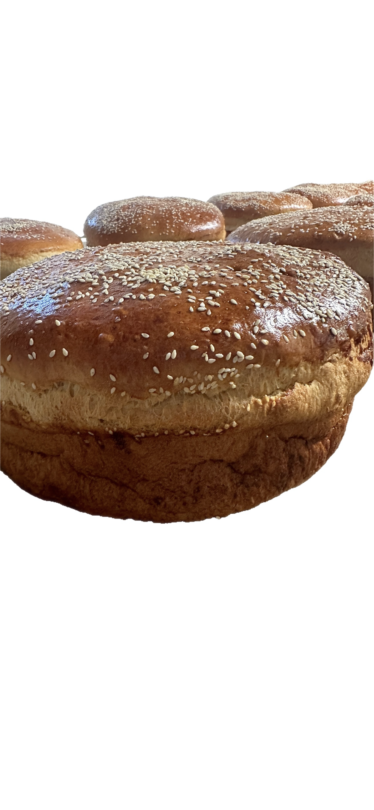 2 lbs round Artous/Vasilopita
